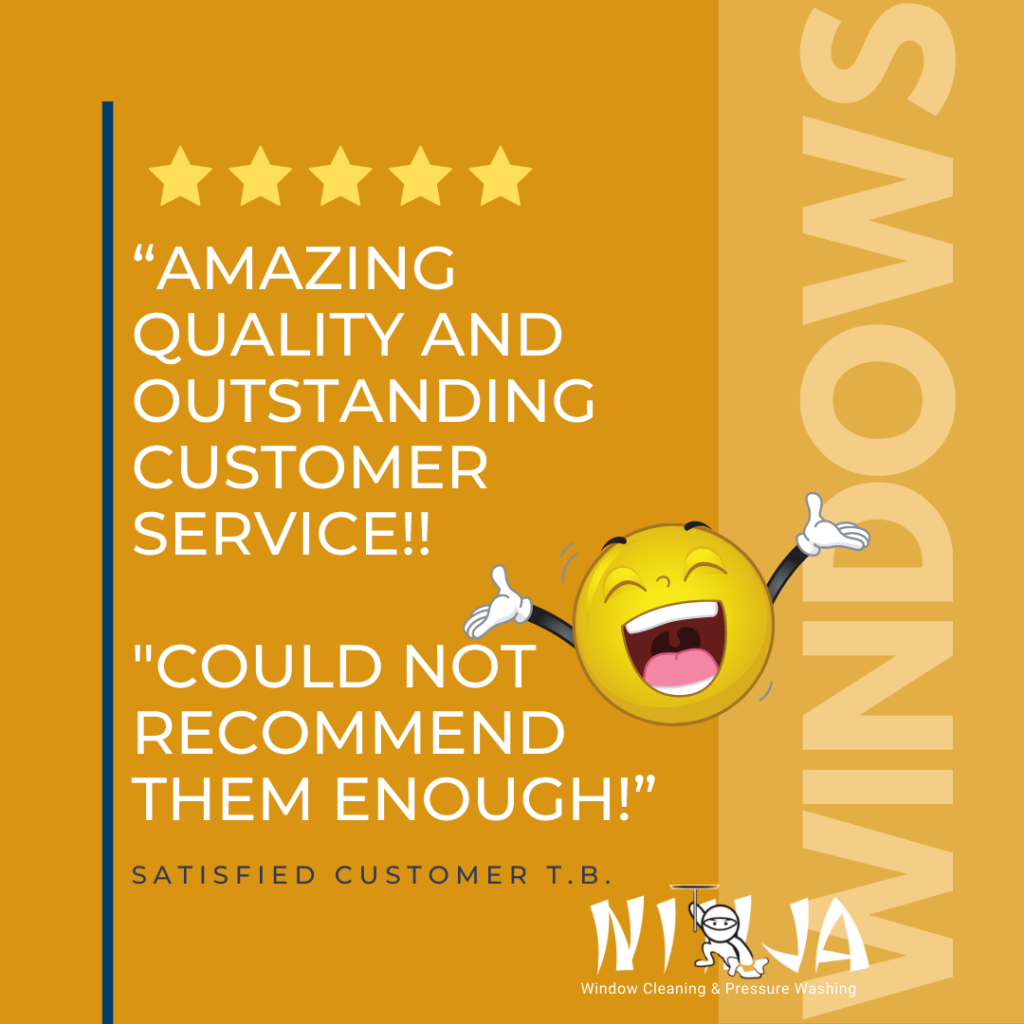 happy window cleaning customer